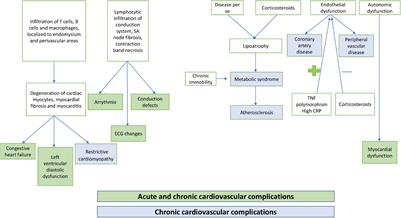 Cardiovascular Abnormalities in Juvenile Dermatomyositis: A Scoping Review for the Clinical Rheumatologists